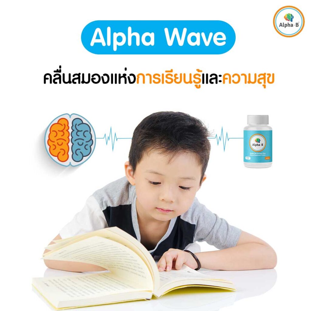 Alpha Wave คลื่นสมองแห่งการเรียนรู้และความสุข Alpha Wave คลื่นสมองแห่งการเรียนรู้และความสุข